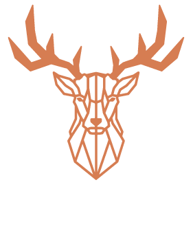 vanguard-bh.com